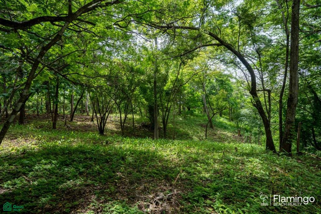 Junquillal Lot , Playa Junquillal, Guanacaste