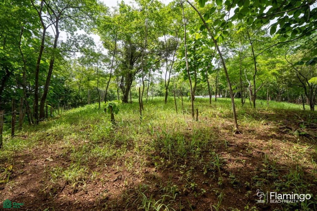 Junquillal Lot , Playa Junquillal, Guanacaste