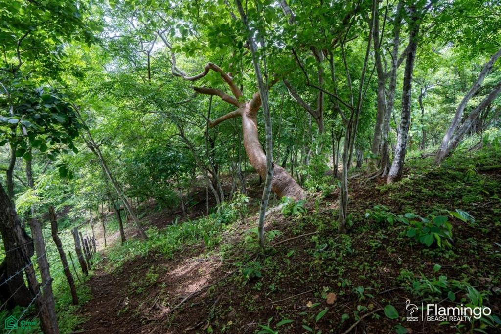 Junquillal Lot , Playa Junquillal, Guanacaste