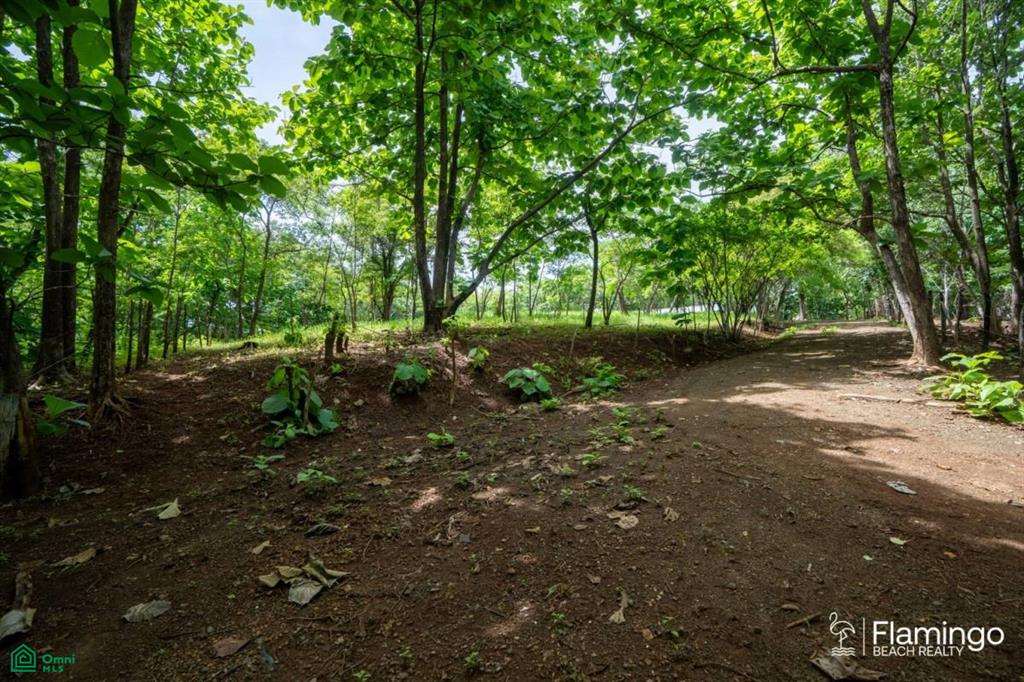 Junquillal Lot , Playa Junquillal, Guanacaste