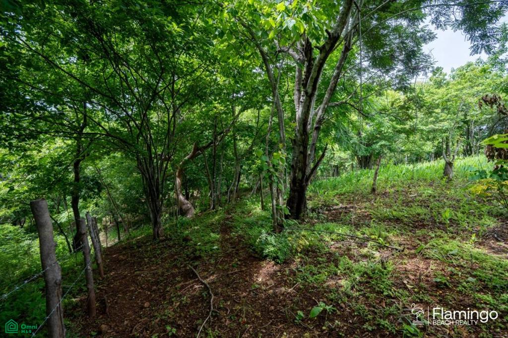Junquillal Lot , Playa Junquillal, Guanacaste