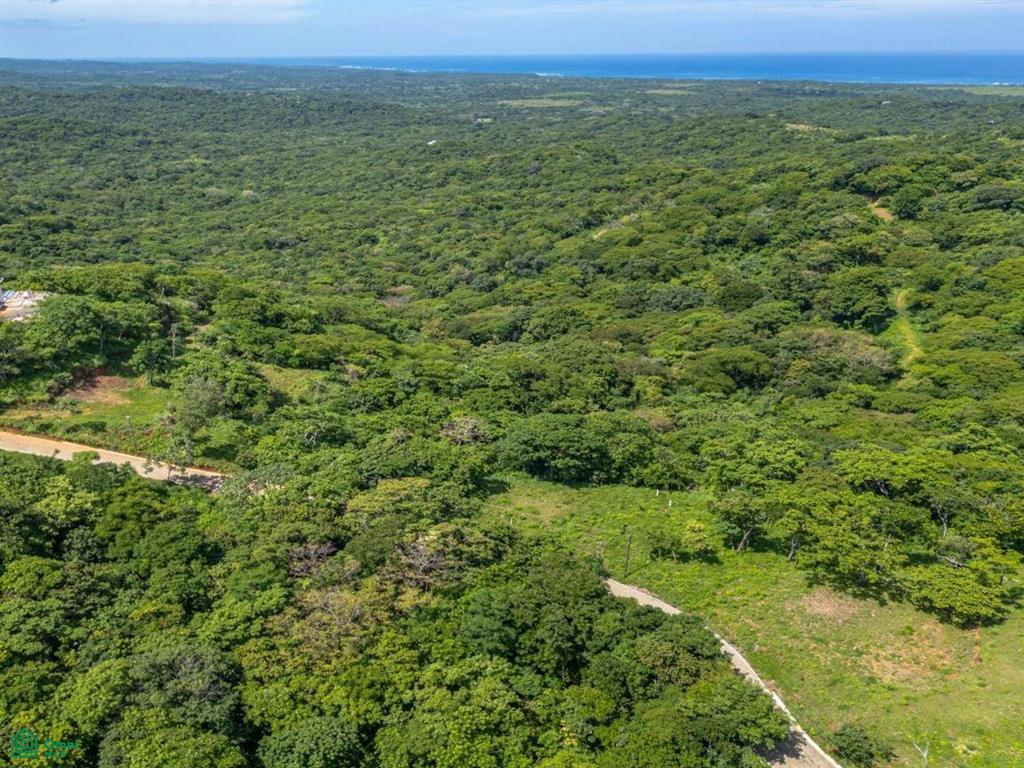 The Enclave at Los Cielos , Playa Avellanas, Guanacaste