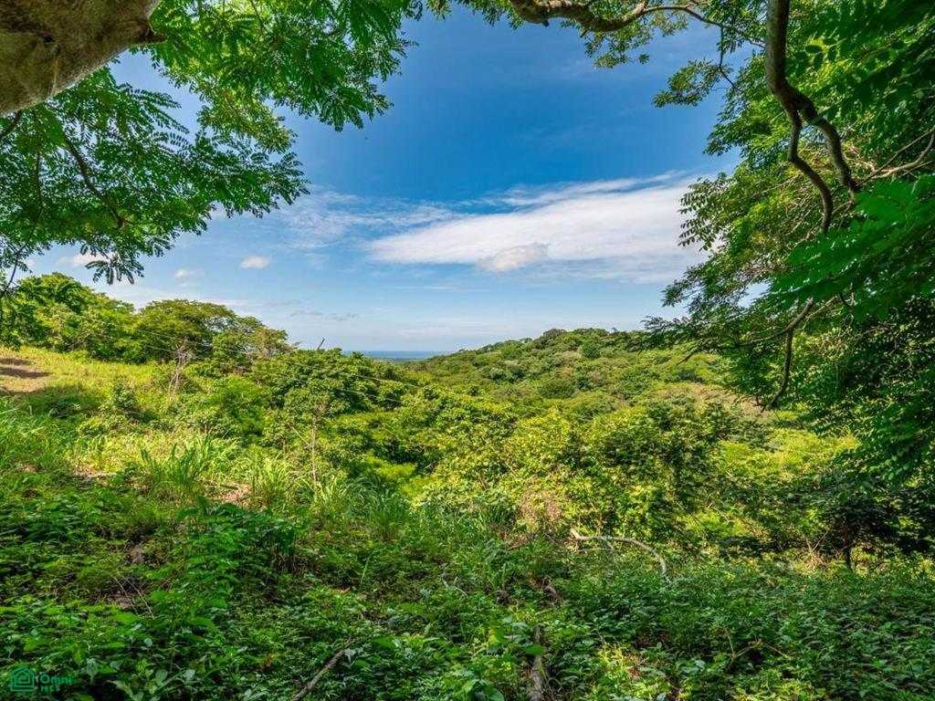 The Enclave at Los Cielos , Playa Avellanas, Guanacaste