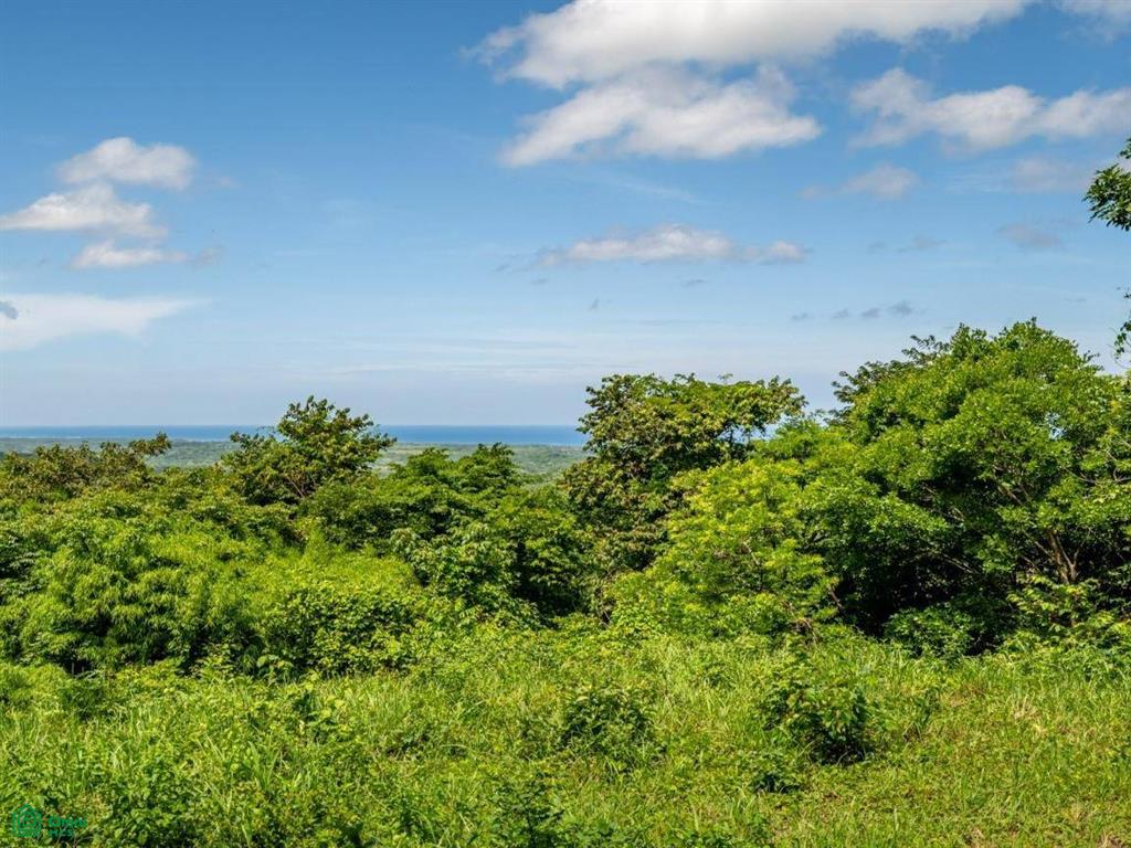 The Enclave at Los Cielos , Playa Avellanas, Guanacaste