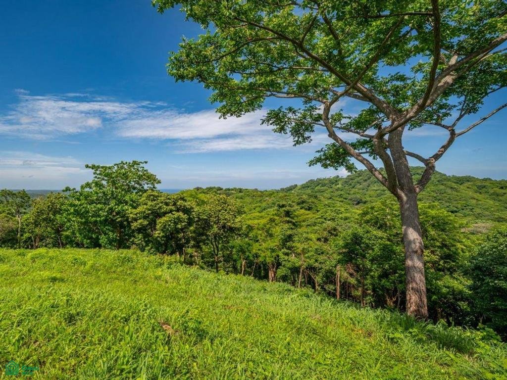 The Enclave at Los Cielos , Playa Avellanas, Guanacaste