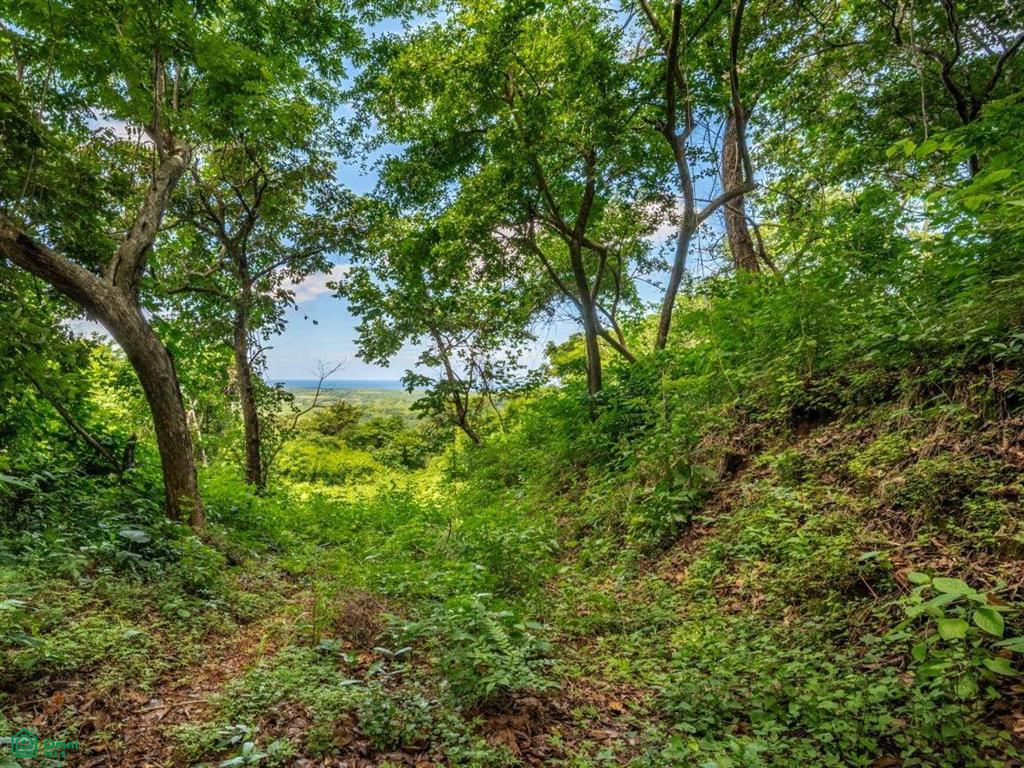 The Enclave at Los Cielos , Playa Avellanas, Guanacaste
