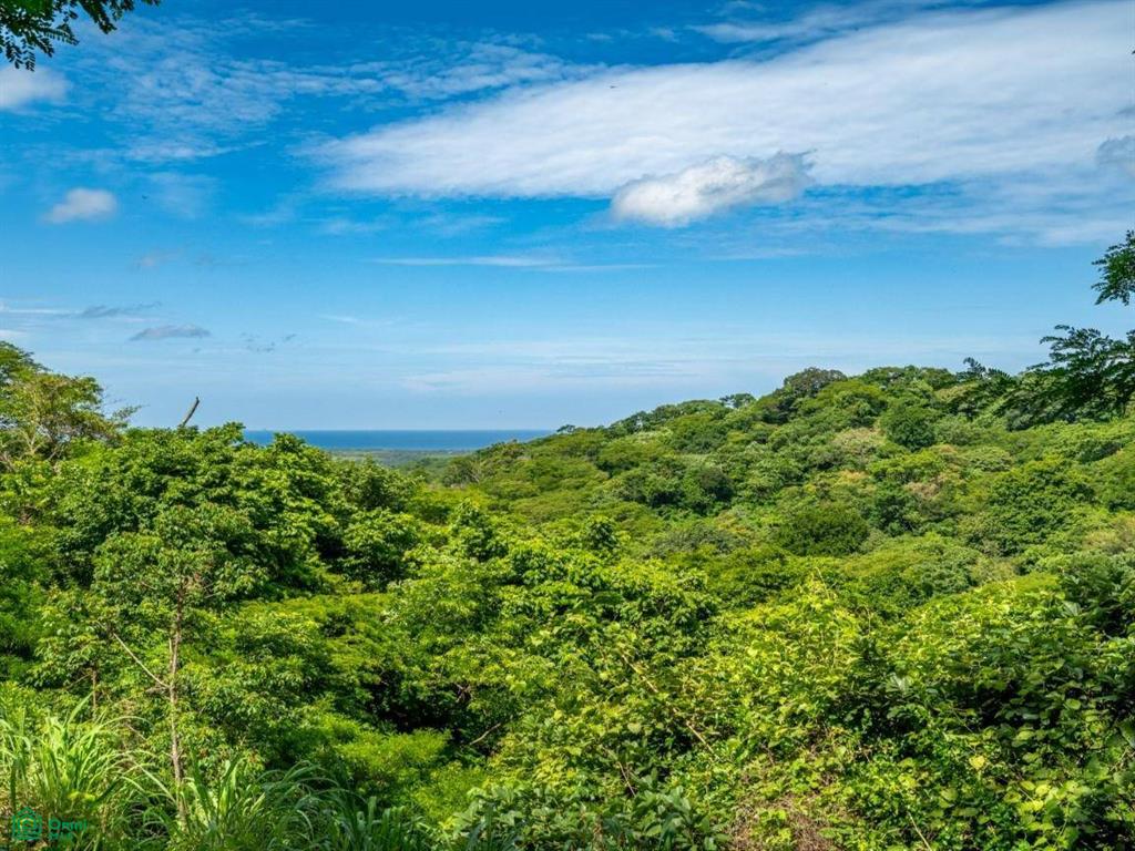 The Enclave at Los Cielos , Playa Avellanas, Guanacaste