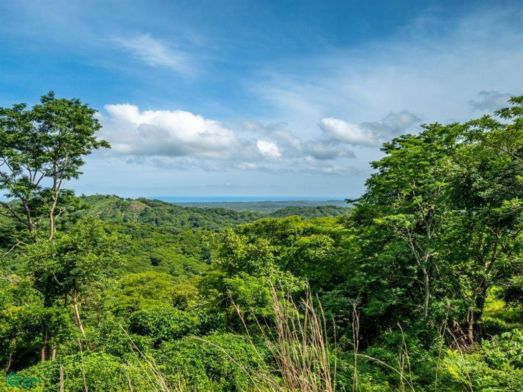 The Enclave at Los Cielos , Playa Avellanas, Guanacaste