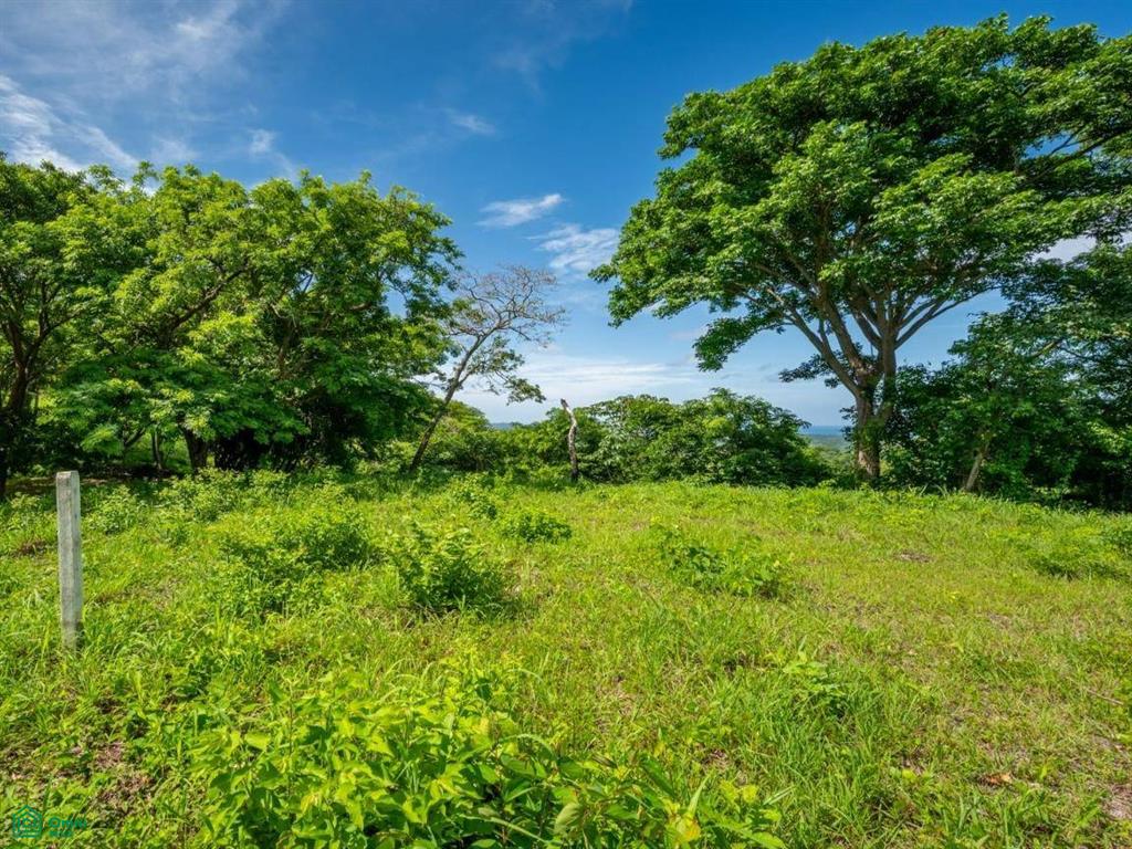 The Enclave at Los Cielos , Playa Avellanas, Guanacaste