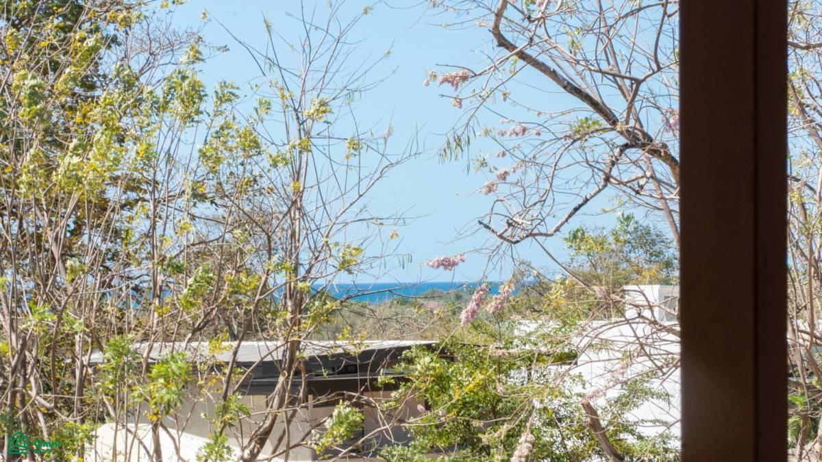 Park, Casa Bromelia (Lot 51) , Santa Cruz