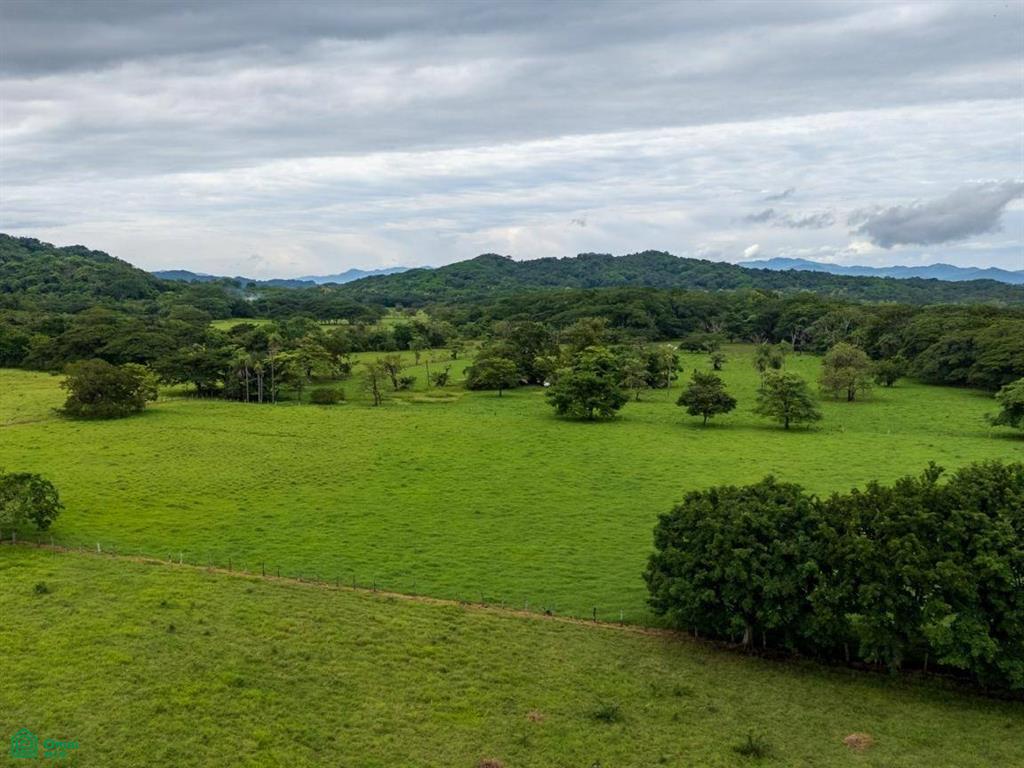 Finca Tempate , Tempate, Guanacaste