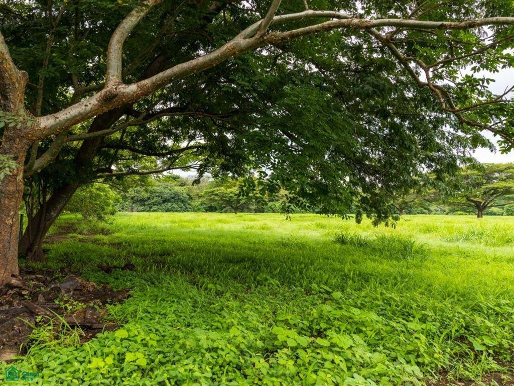 Finca Tempate , Tempate, Guanacaste