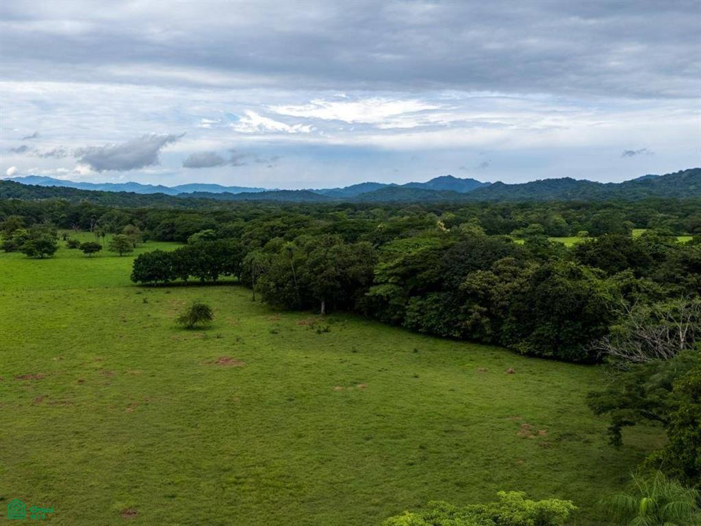 Finca Tempate , Tempate, Guanacaste