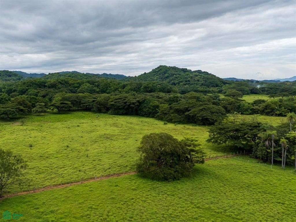 Finca Tempate , Tempate, Guanacaste