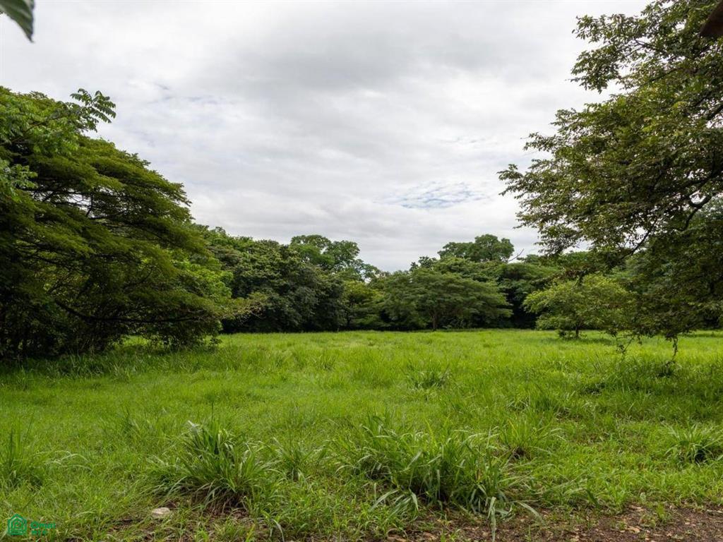 Finca Tempate , Tempate, Guanacaste