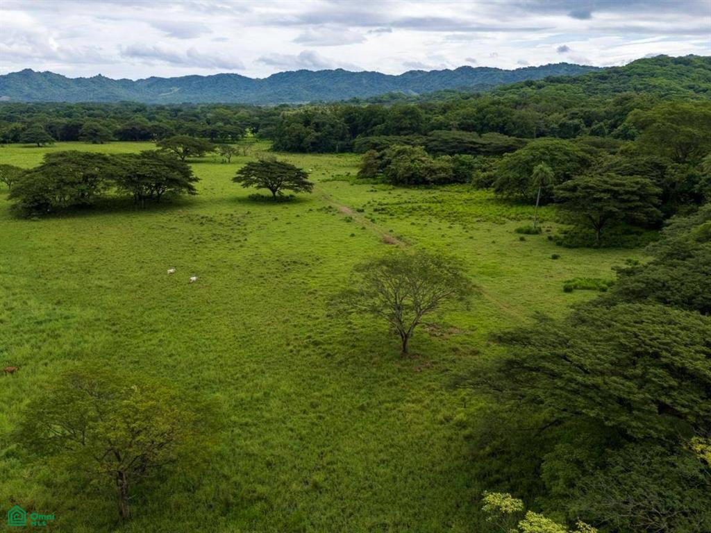 Finca Tempate , Tempate, Guanacaste