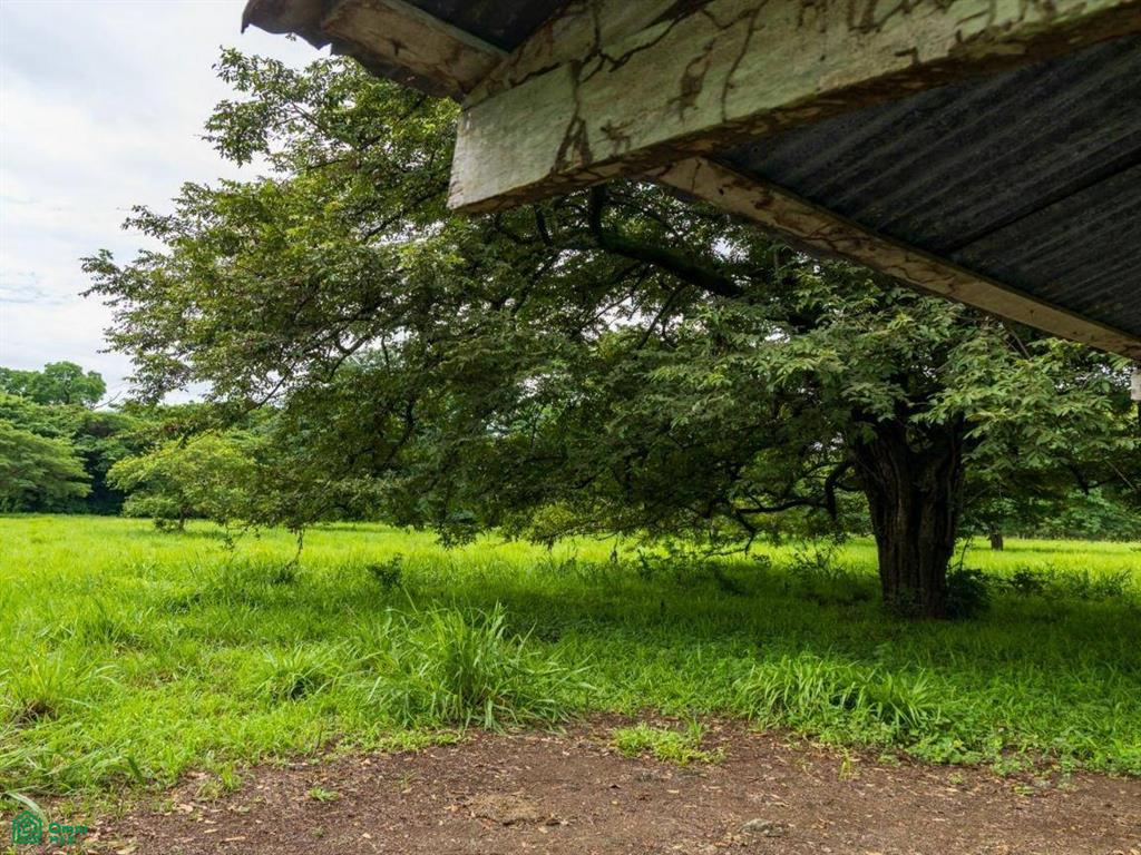 Finca Tempate , Tempate, Guanacaste