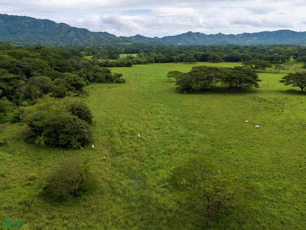 Finca Tempate , Tempate, Guanacaste