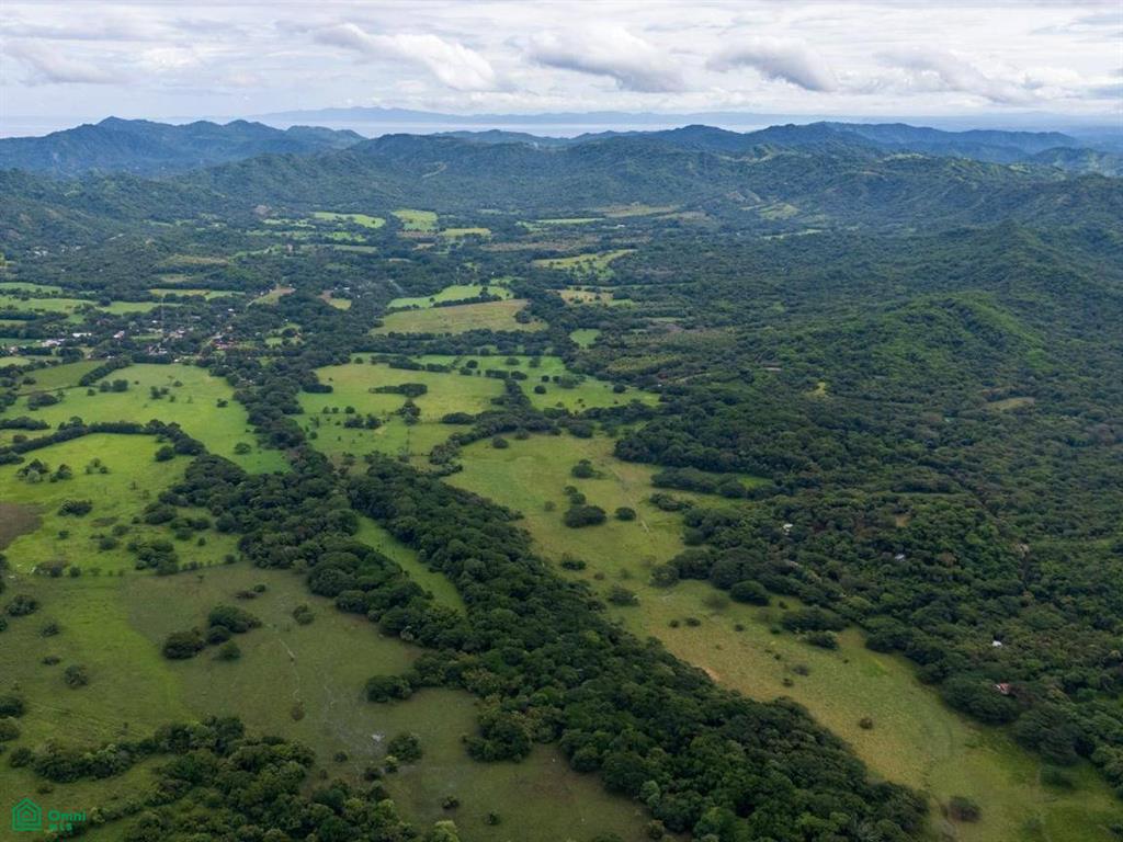Finca Tempate , Tempate, Guanacaste