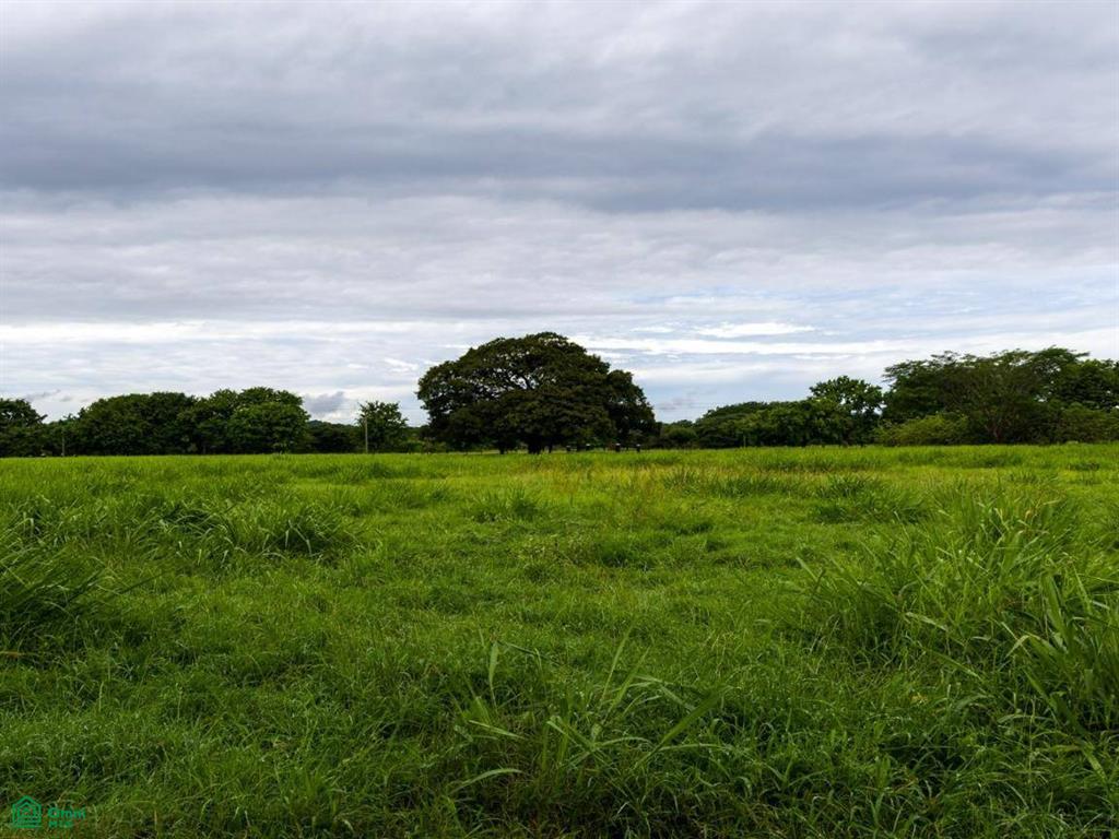 Finca Tempate , Tempate, Guanacaste