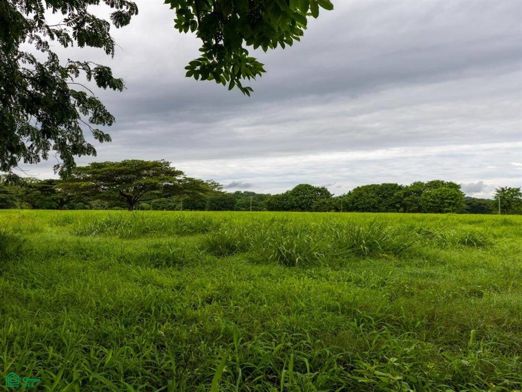 Finca Tempate , Tempate, Guanacaste