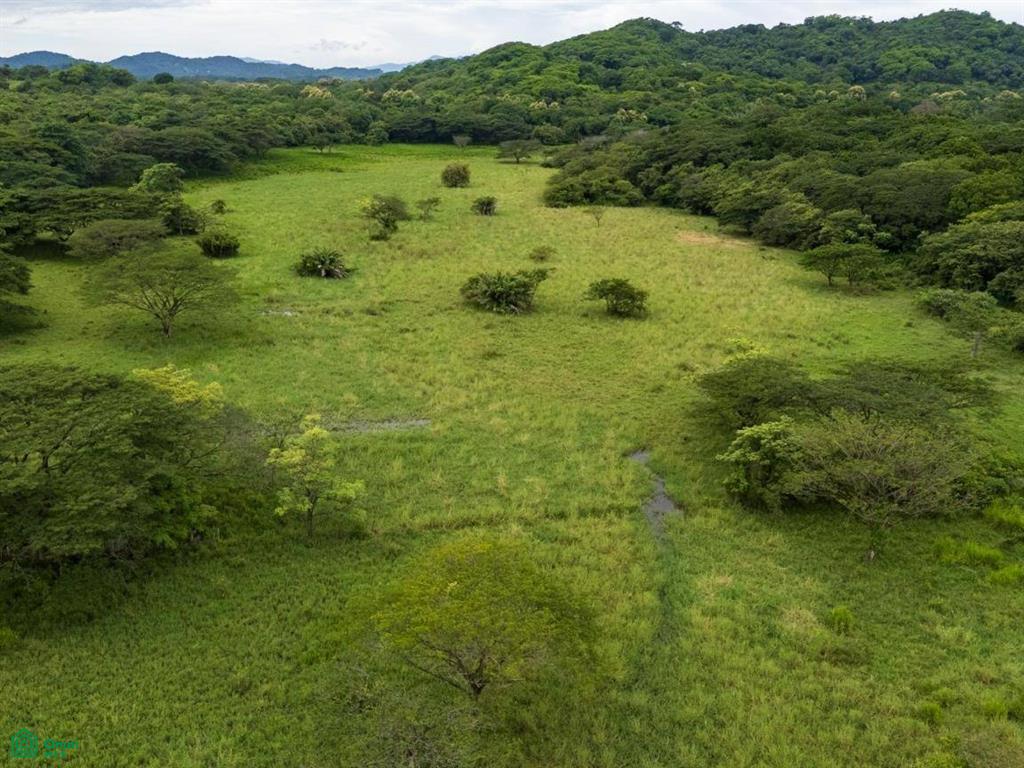 Finca Tempate , Tempate, Guanacaste