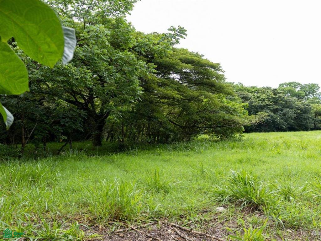 Finca Tempate , Tempate, Guanacaste