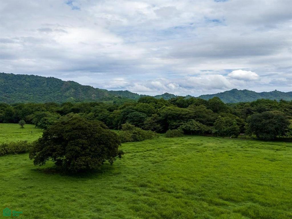 Finca Tempate , Tempate, Guanacaste