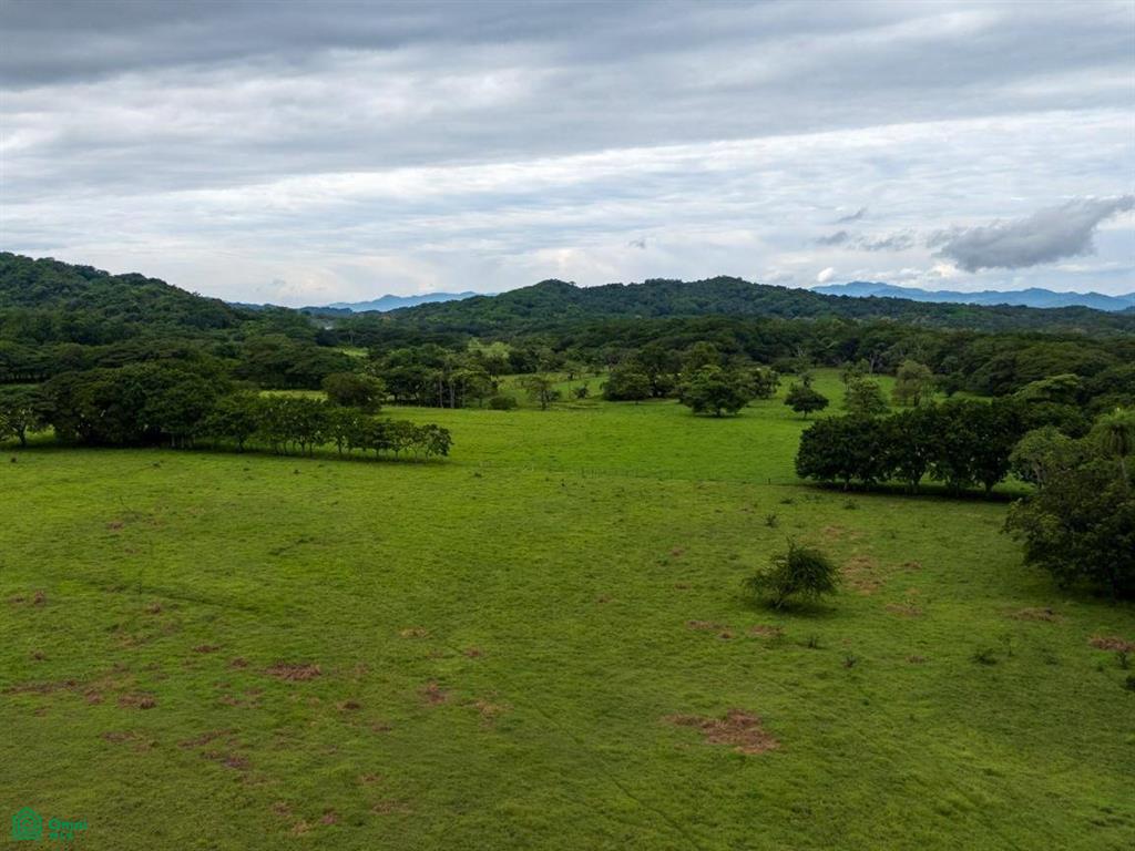 Finca Tempate , Tempate, Guanacaste