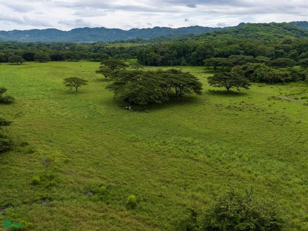 Finca Tempate , Tempate, Guanacaste