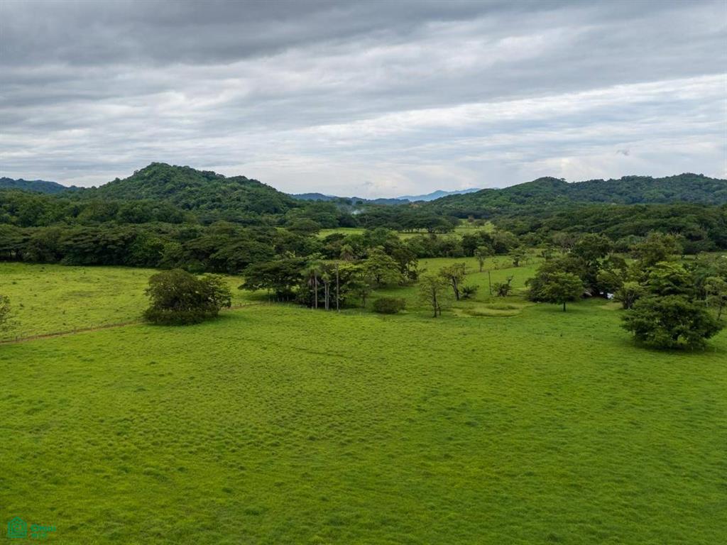 Finca Tempate , Tempate, Guanacaste
