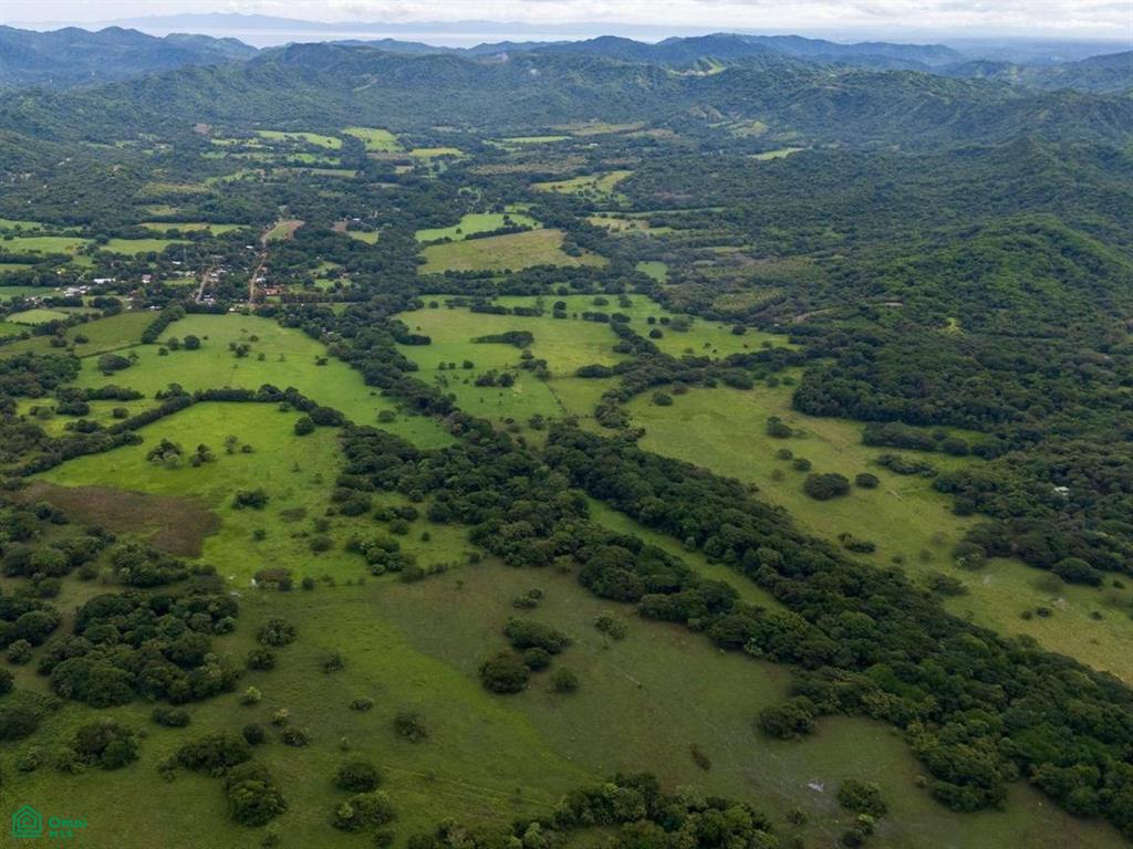 Finca Tempate , Tempate, Guanacaste