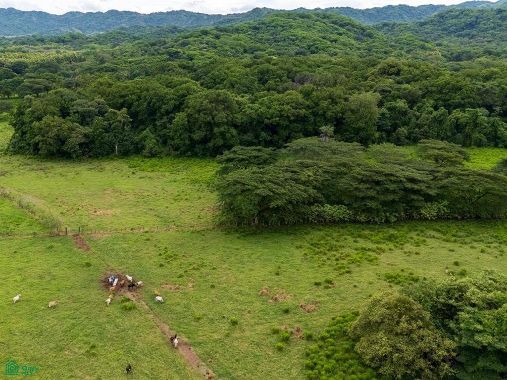 Finca Tempate , Tempate, Guanacaste