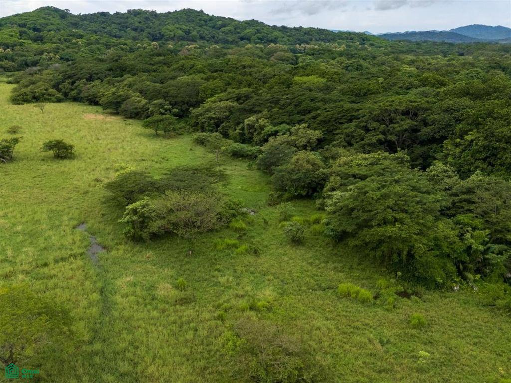 Finca Tempate , Tempate, Guanacaste