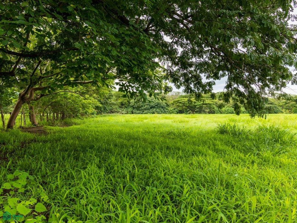 Finca Tempate , Tempate, Guanacaste