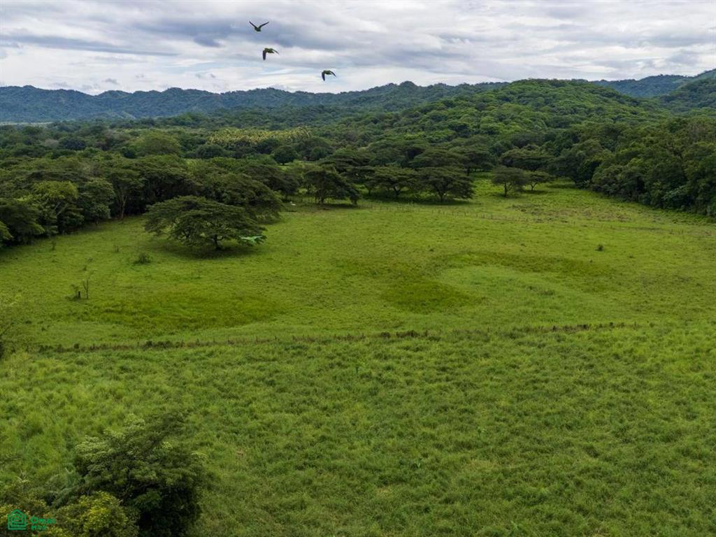 Finca Tempate , Tempate, Guanacaste