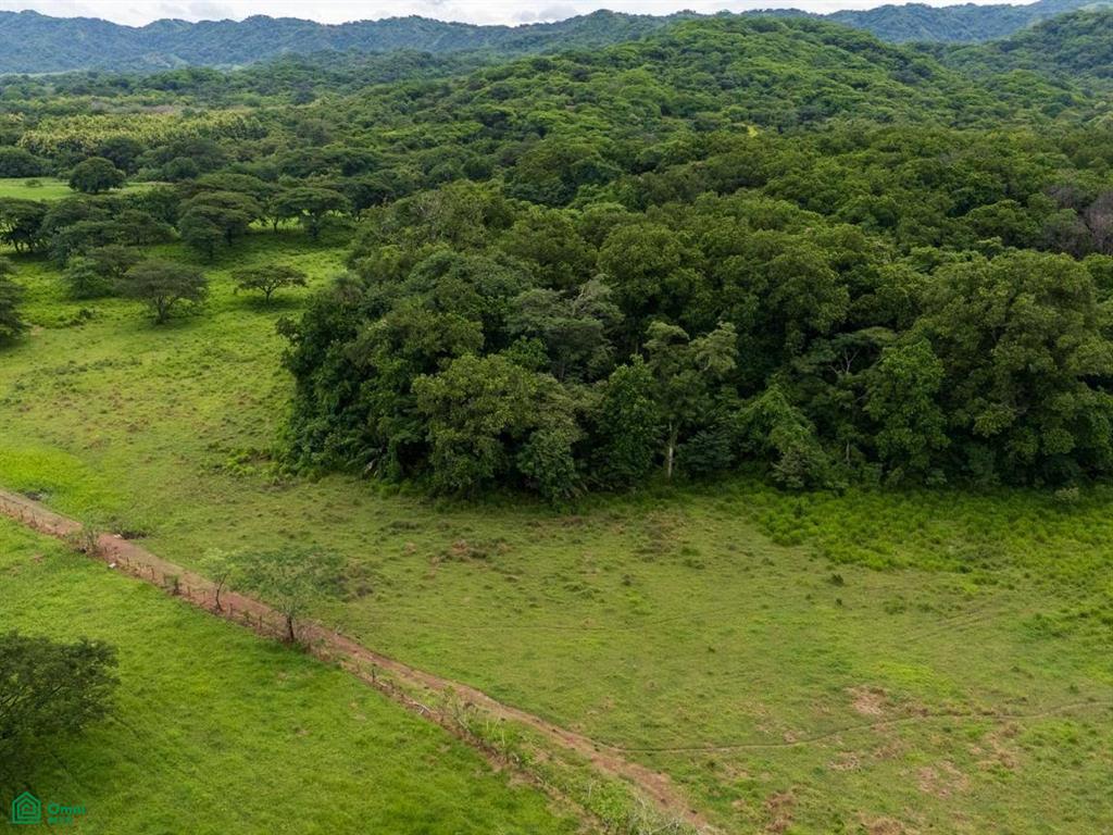 Finca Tempate , Tempate, Guanacaste