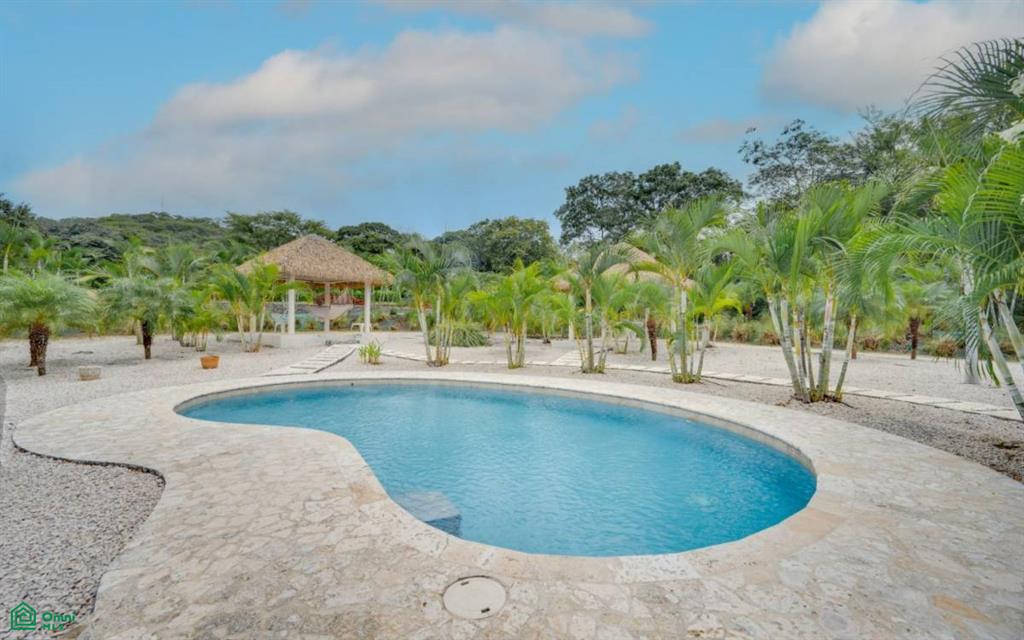 Colibri and Lorito , Cartagena, Guanacaste