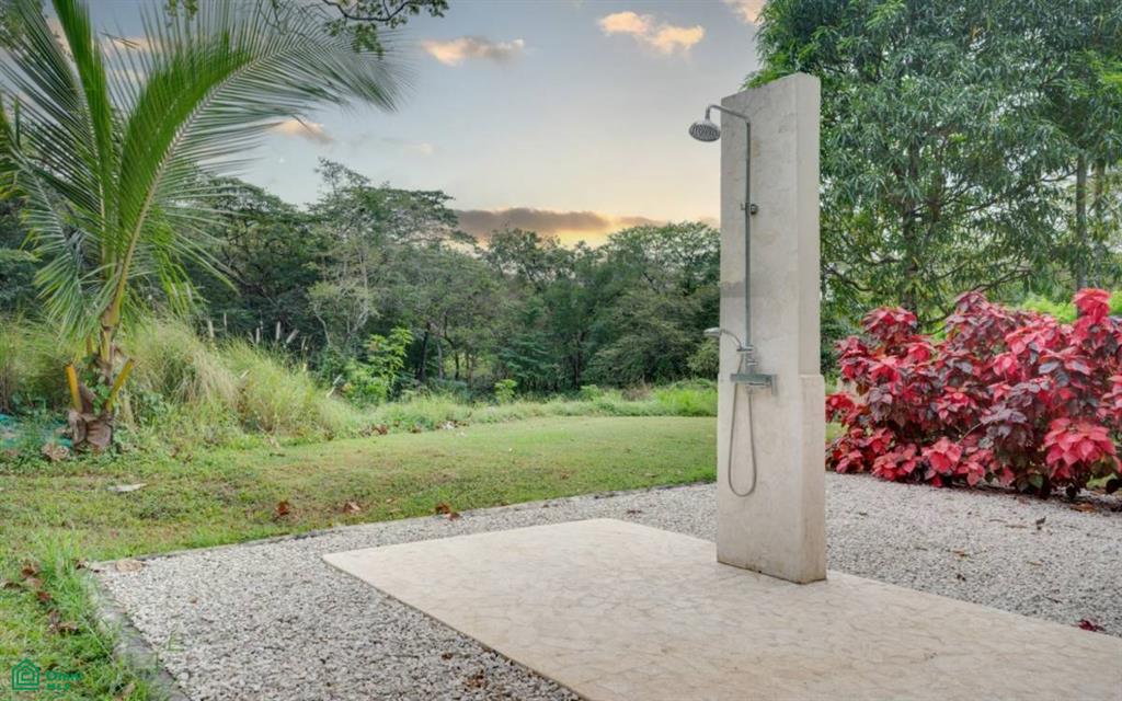 Colibri and Lorito , Cartagena, Guanacaste