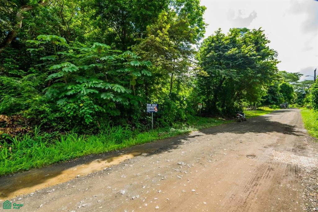 Surfside Lot L16 , Playa Potrero, Guanacaste