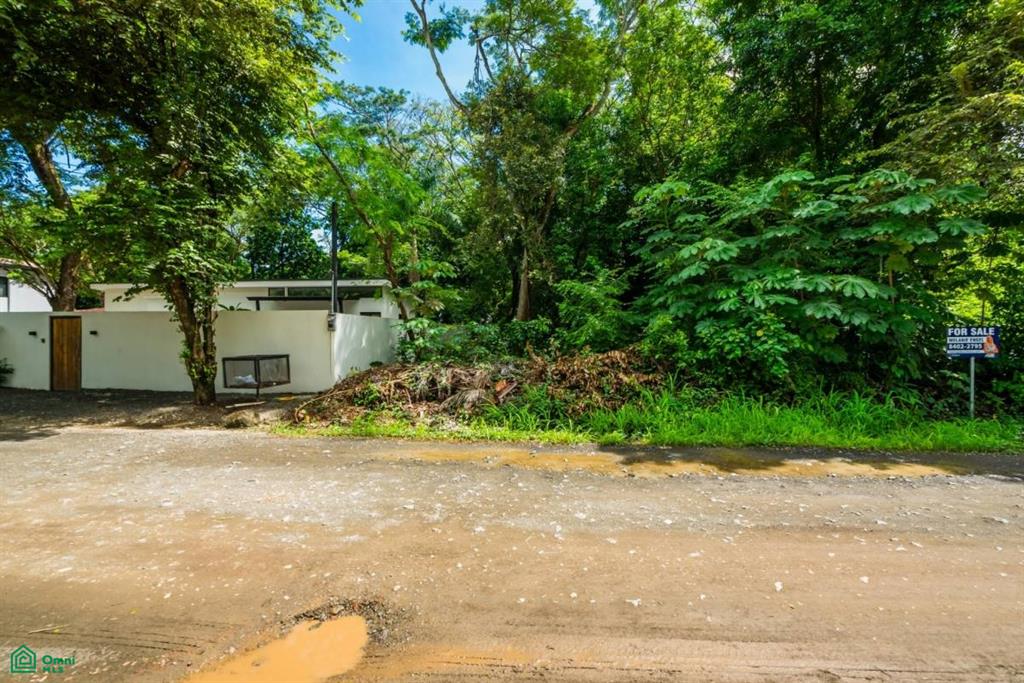 Surfside Lot L16 , Playa Potrero, Guanacaste