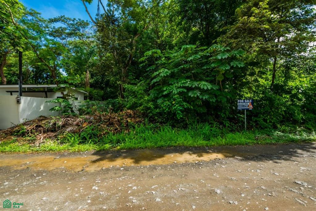 Surfside Lot L16 , Playa Potrero, Guanacaste