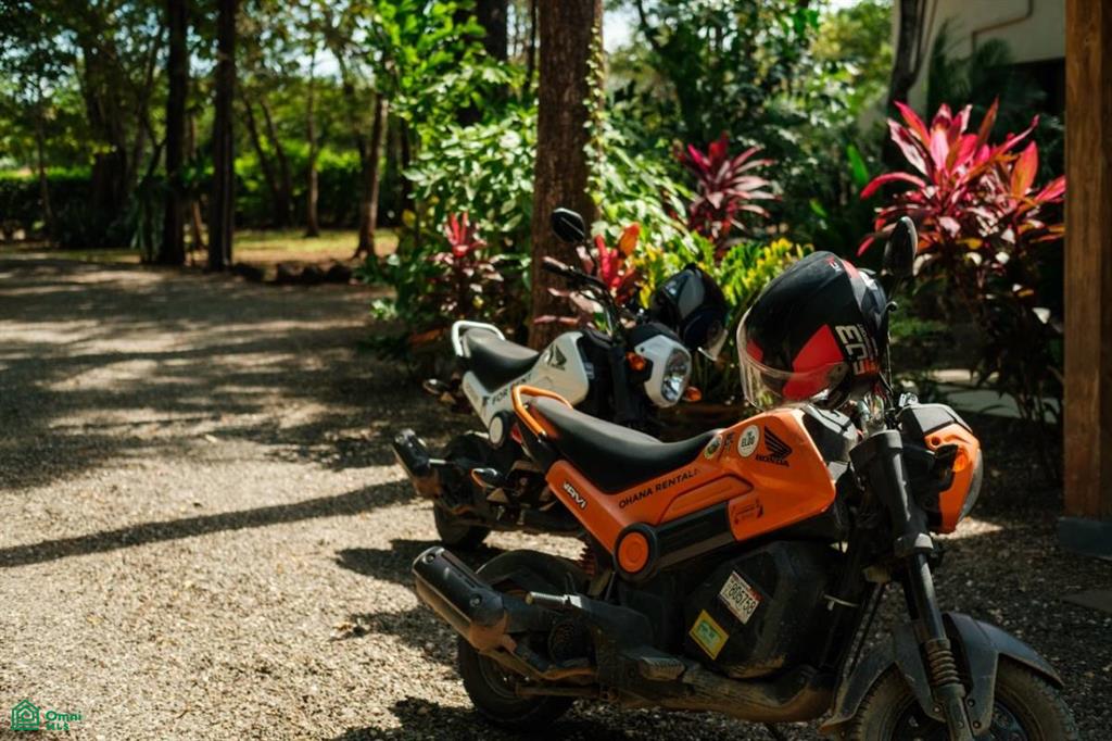 The Ohana Project – Turnkey Business Opportunity , Tamarindo, Guanacaste