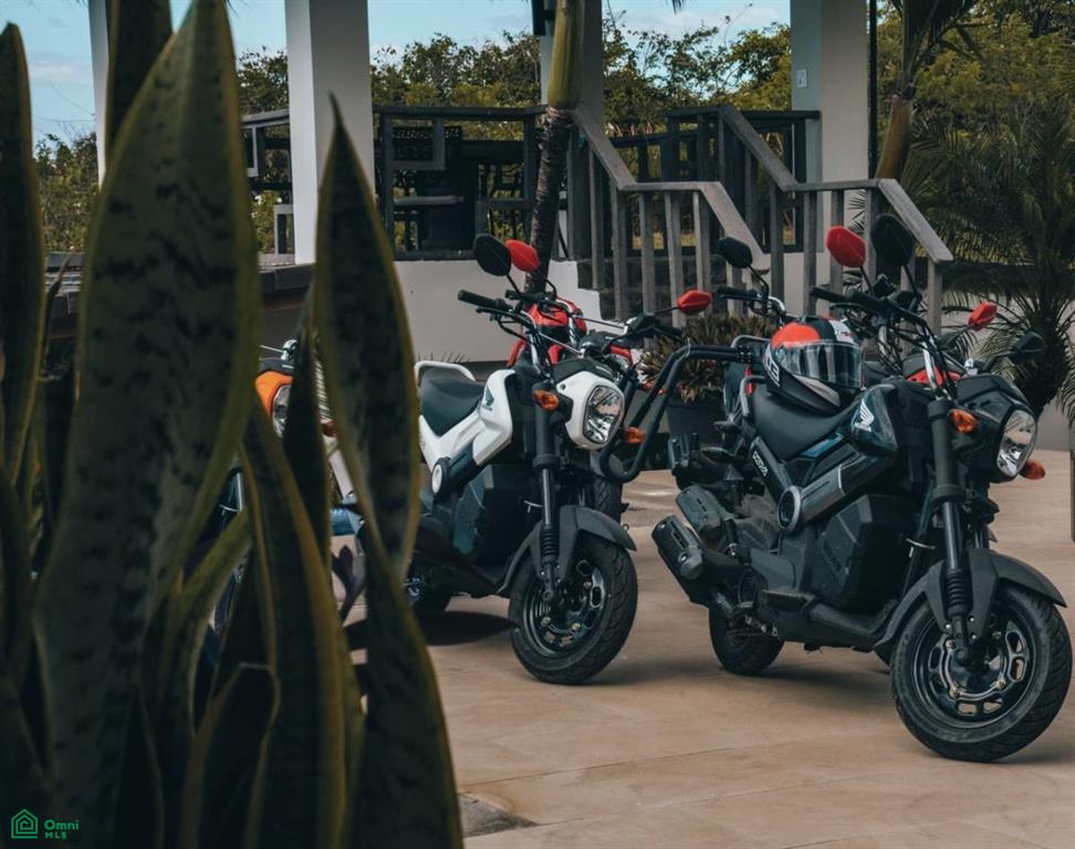 The Ohana Project – Turnkey Business Opportunity , Tamarindo, Guanacaste