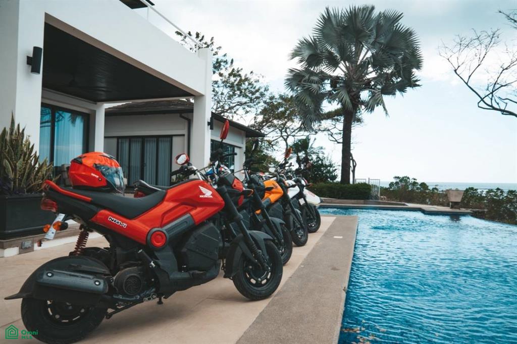 The Ohana Project – Turnkey Business Opportunity , Tamarindo, Guanacaste