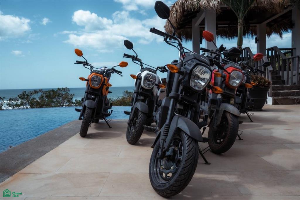 The Ohana Project – Turnkey Business Opportunity , Tamarindo, Guanacaste