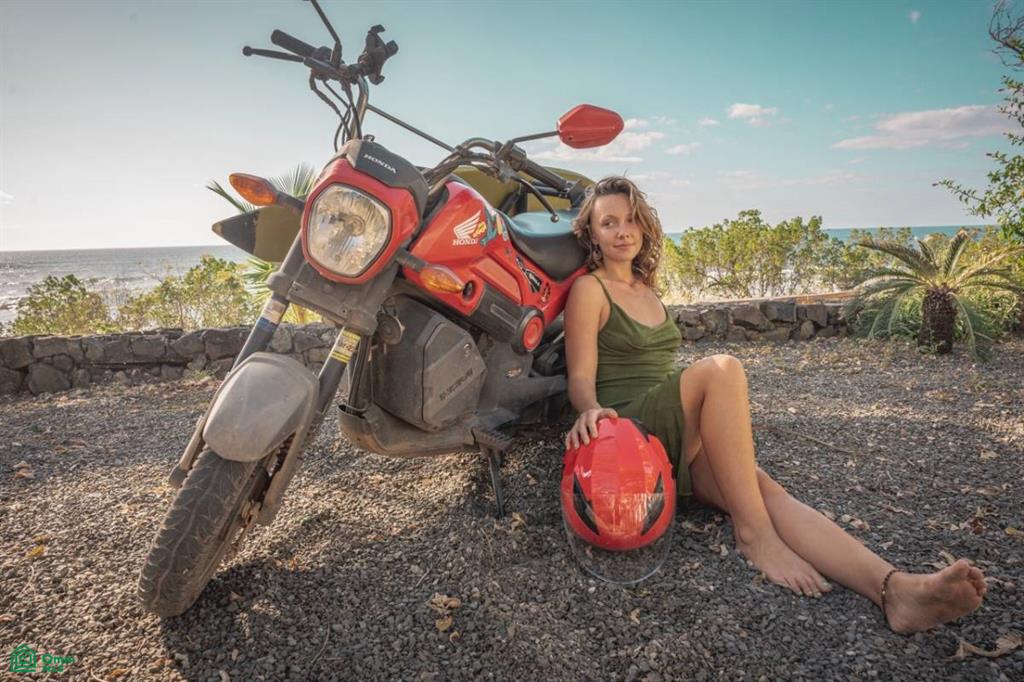 The Ohana Project – Turnkey Business Opportunity , Tamarindo, Guanacaste