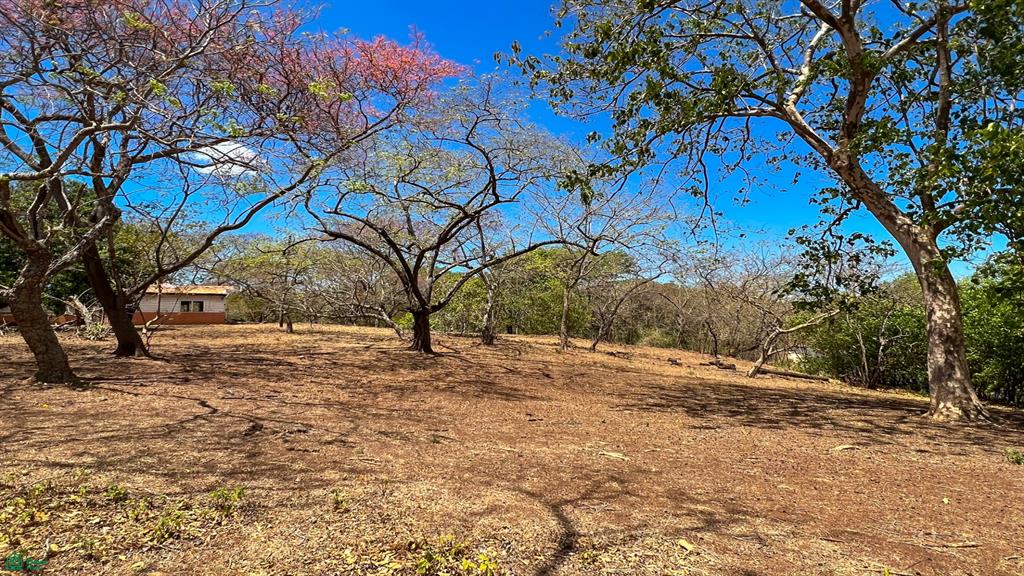 Junquillal Beachfront Lot 2