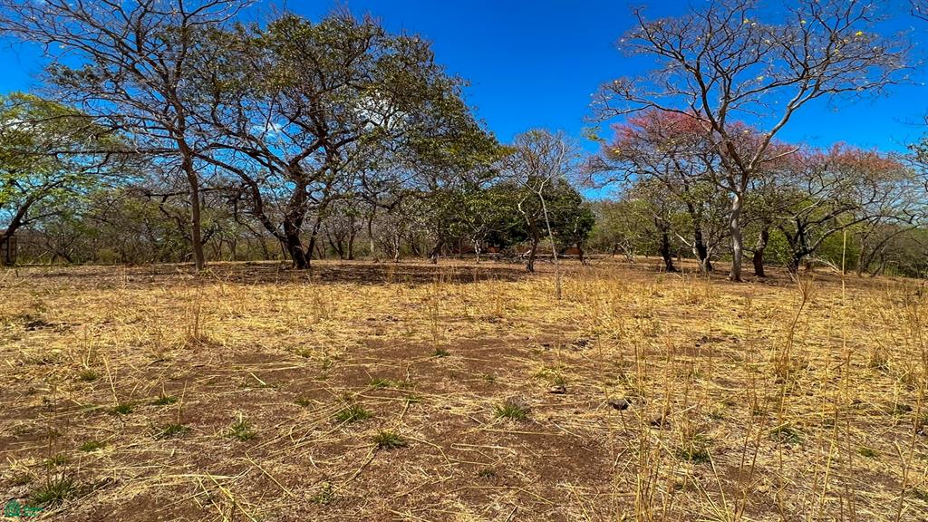 Junquillal Beachfront Lot 2