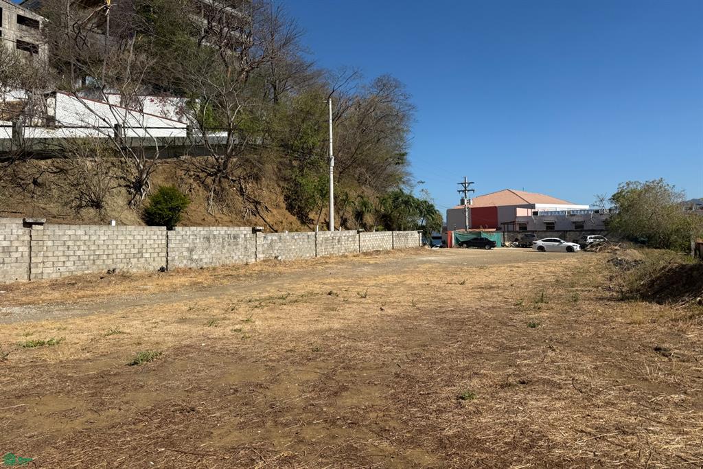 Flamingo Lot: Prime Ocean View Land Steps from the Beach